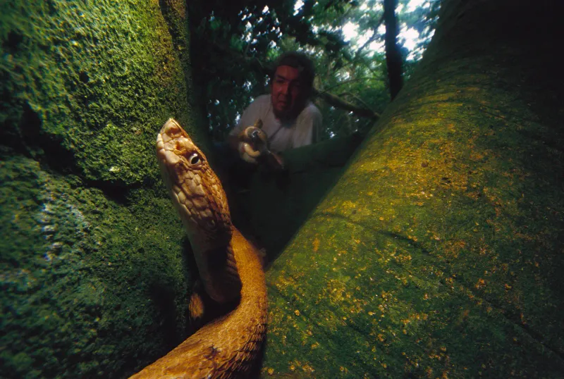 Conservation Challenges