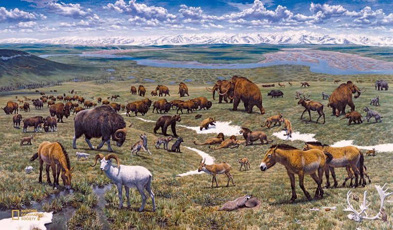 Unveiling Ancient Habitats