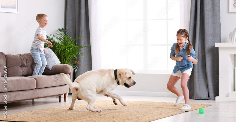 Create Indoor Play Areas