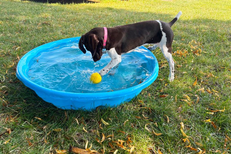 Engaging in Water Play
