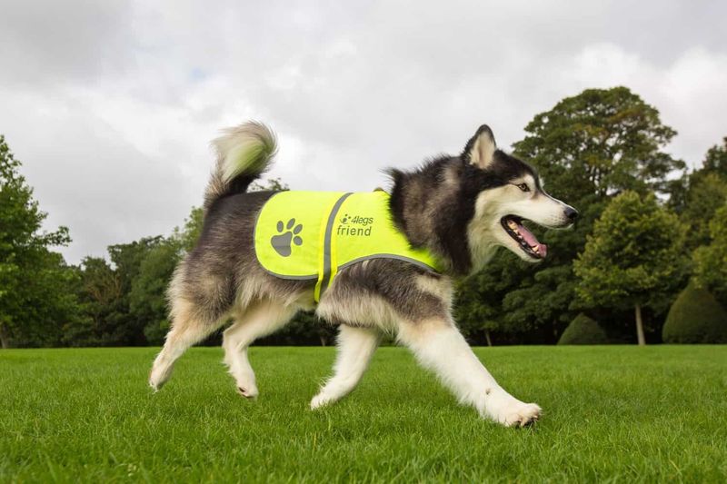 Training with Reflective Gear