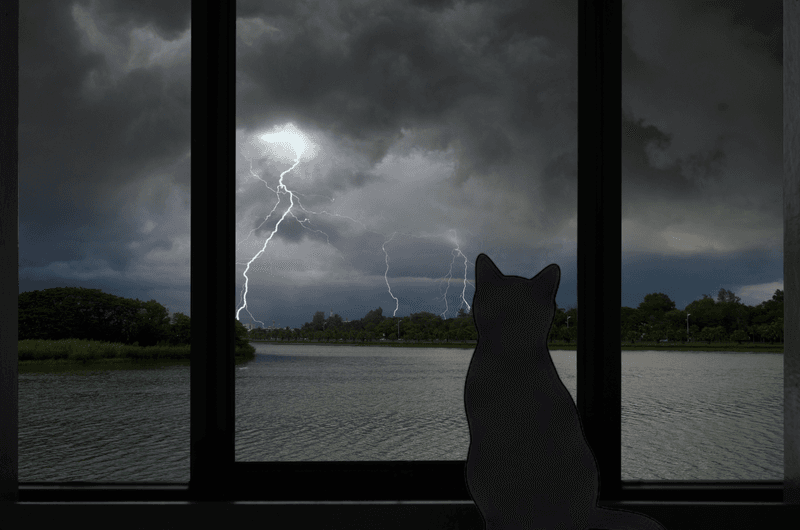 Thunderstorms