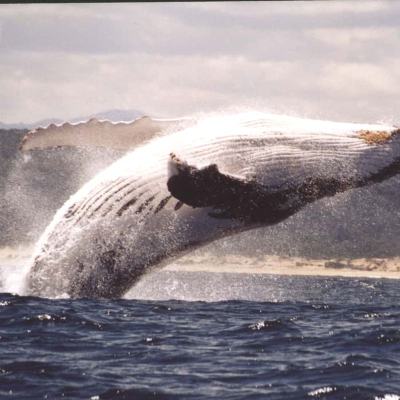 Jeffreys Bay, South Africa