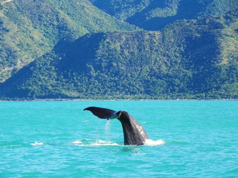 Kaikoura, New Zealand