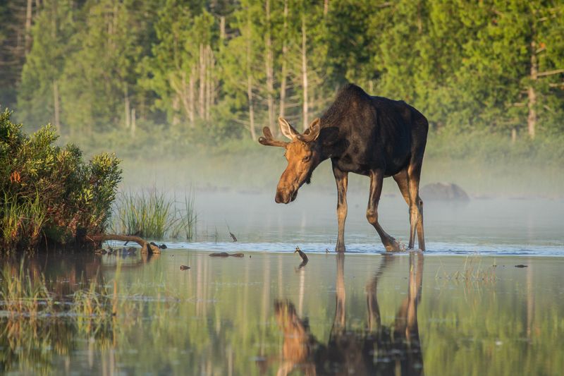 New Hampshire