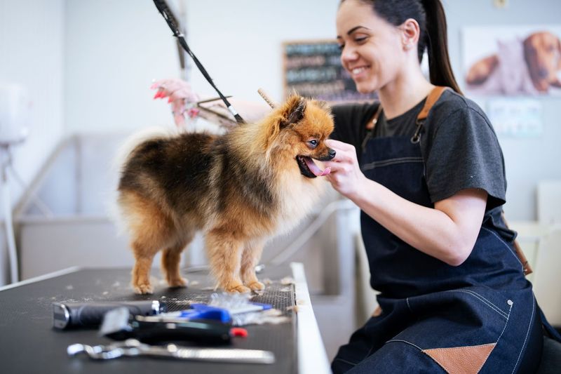 Regular Grooming