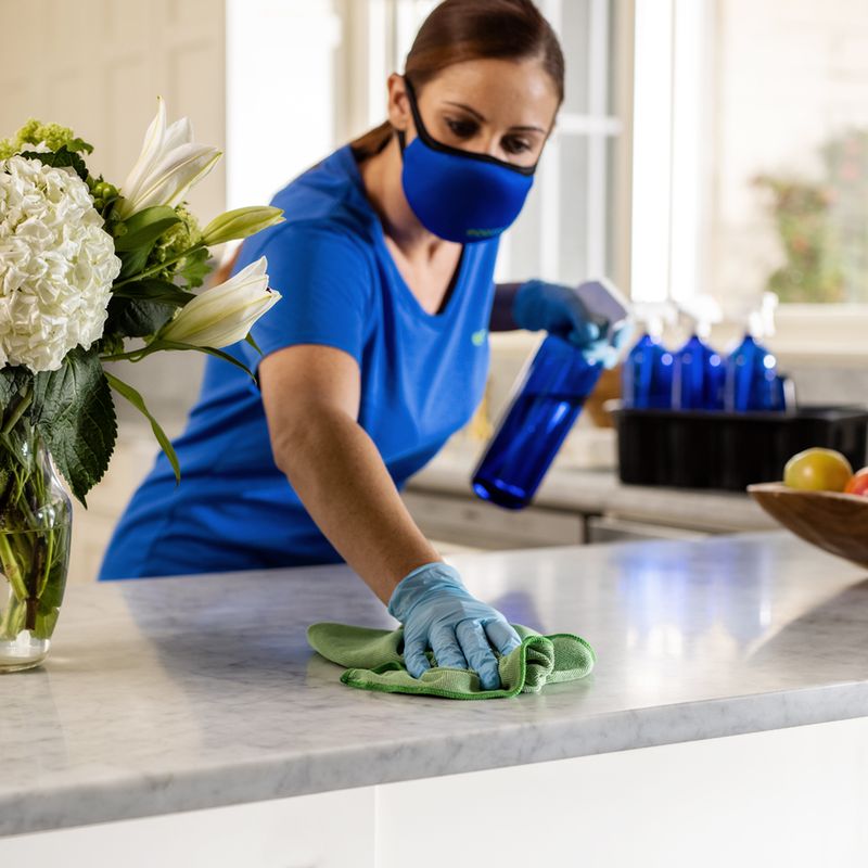 Professional Cleaning Services