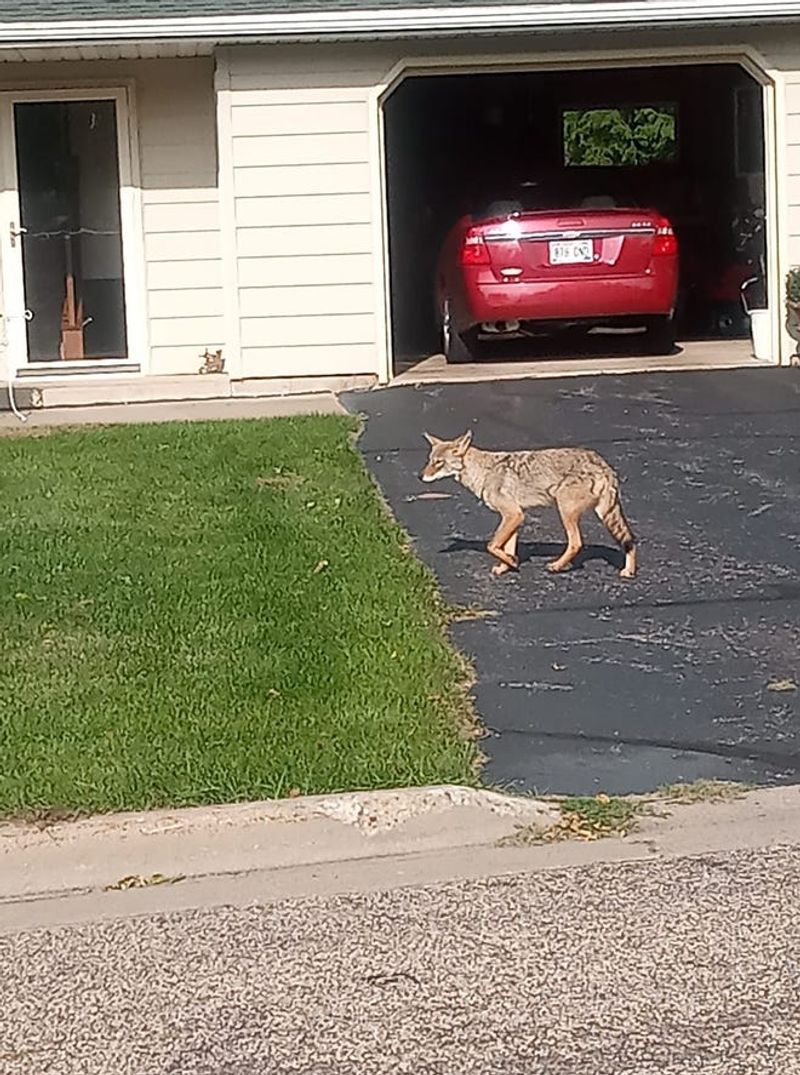 Wisconsin