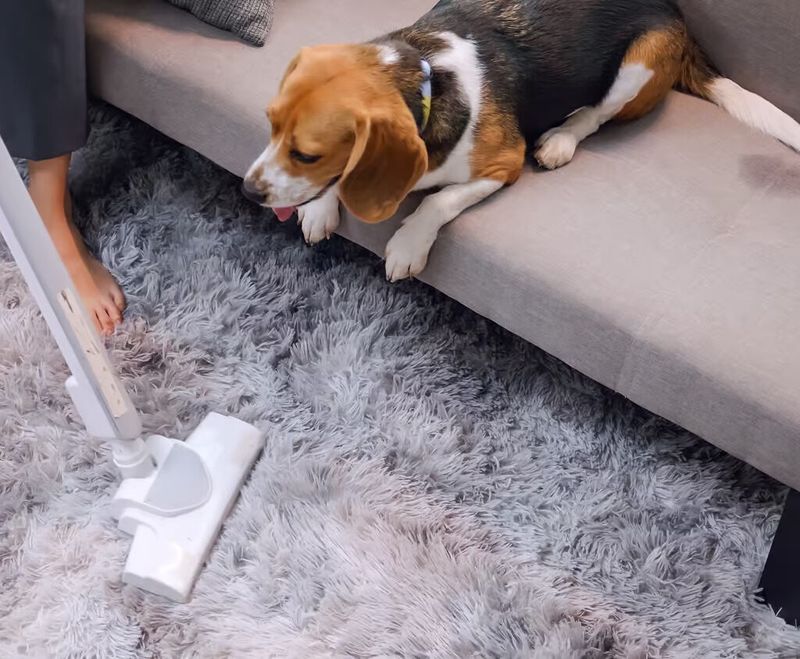 Regular Vacuuming