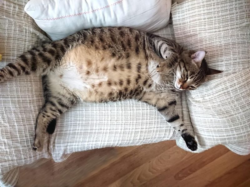 Bloating