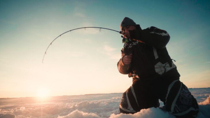Where to Go Ice Fishing in Alaska: 10 Best Lakes and Hidden Gems