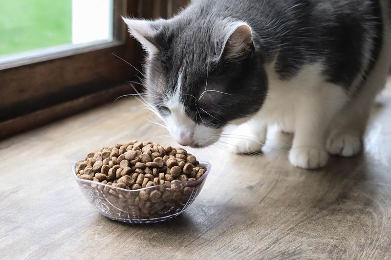Food Time Rituals