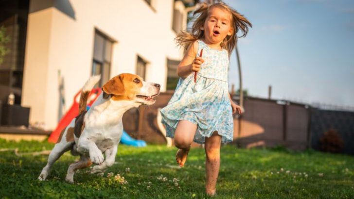 Why Dogs Became Pets—But Zebras, Bison, and Bears Never Did