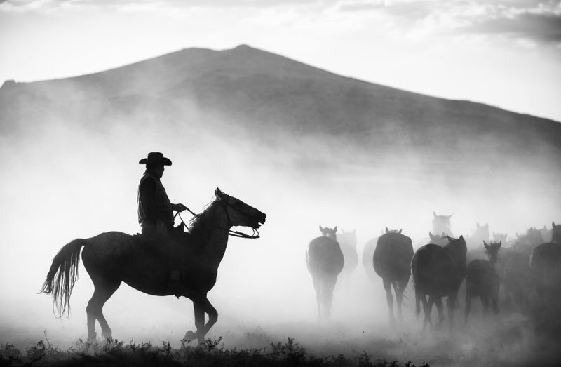 Western Movies