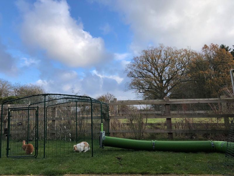 Rabbit Tunnel System