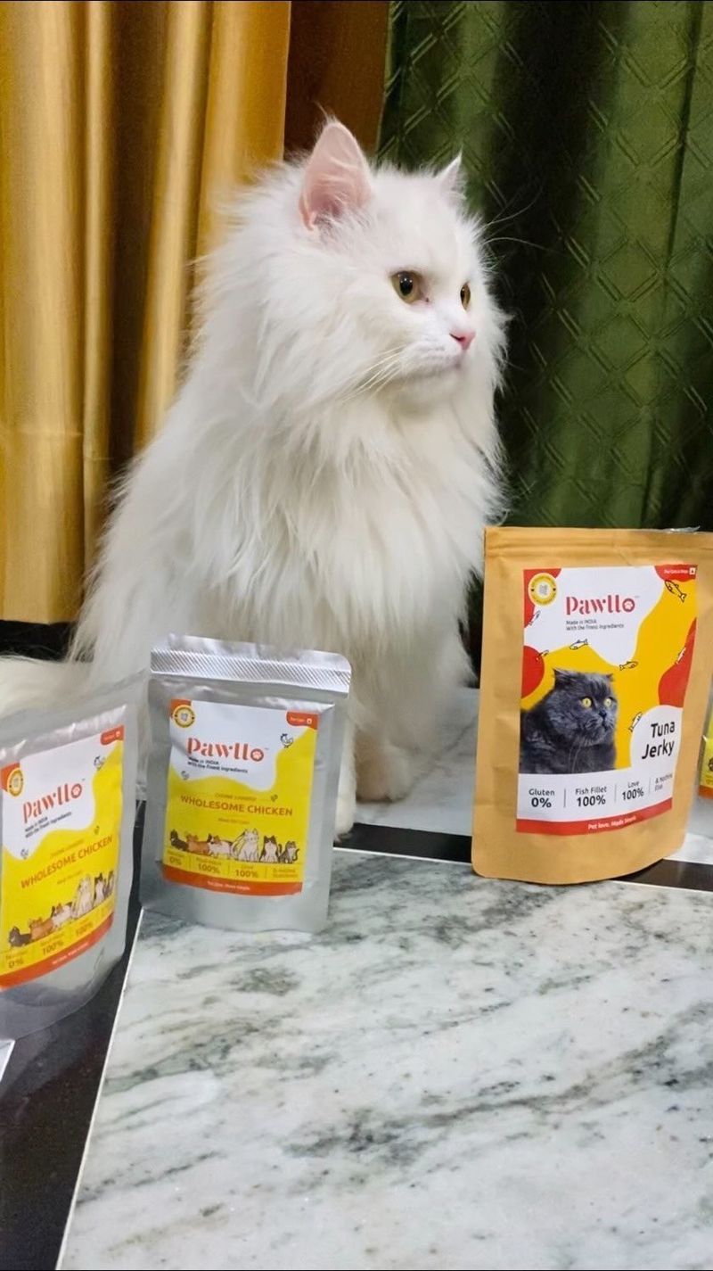 High-Quality Cat Food