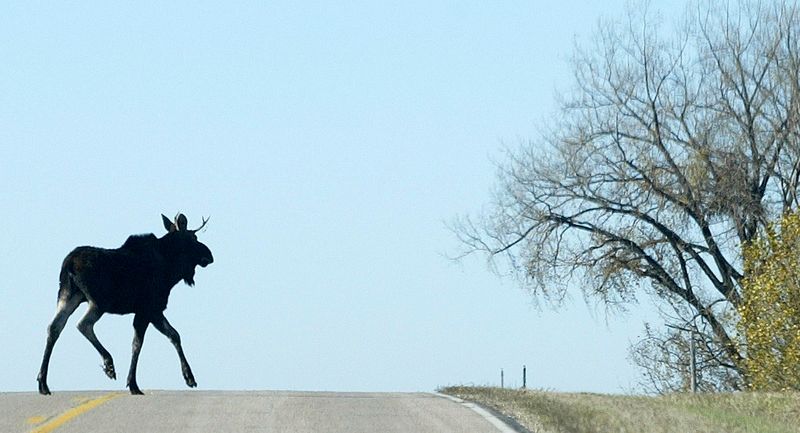 Minnesota