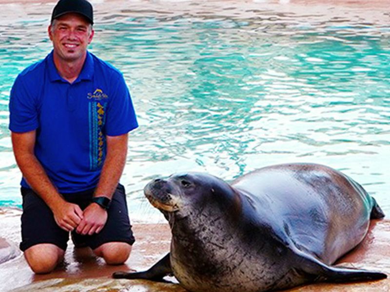 Seal
