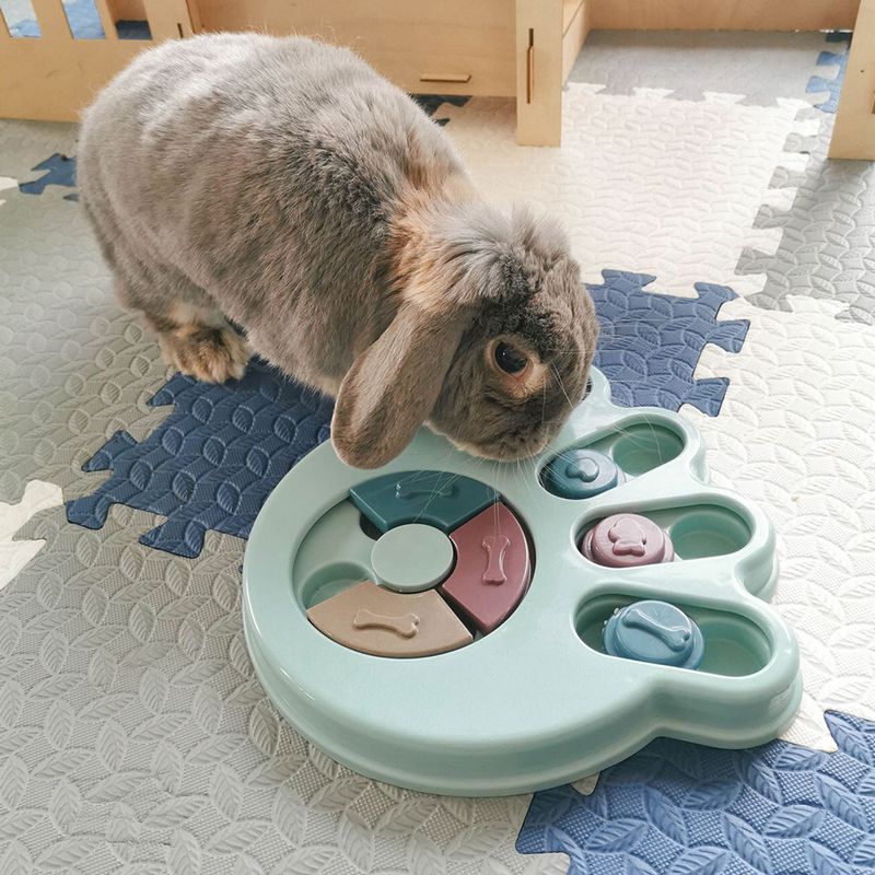 Bunny Puzzle Game