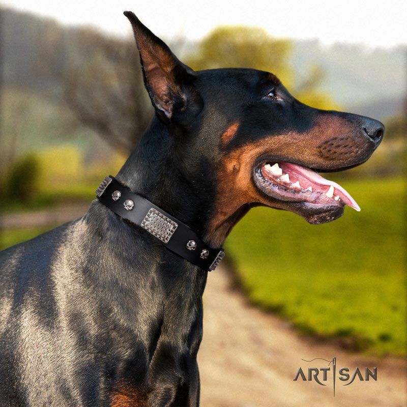 Black Collar