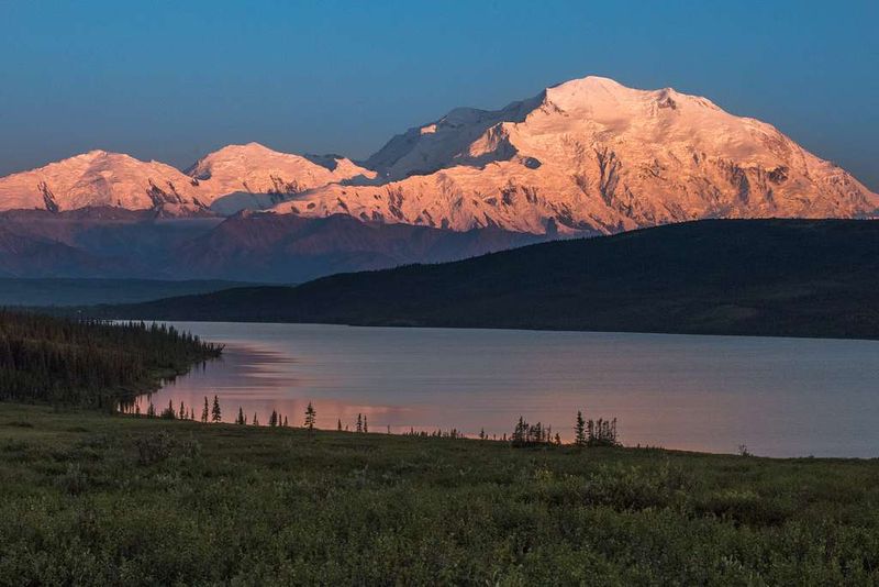Denali National Park