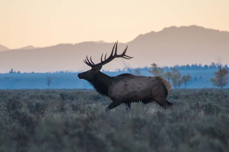Grand Teton National Park