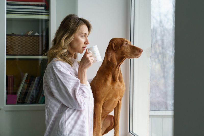 Your Daily Routine