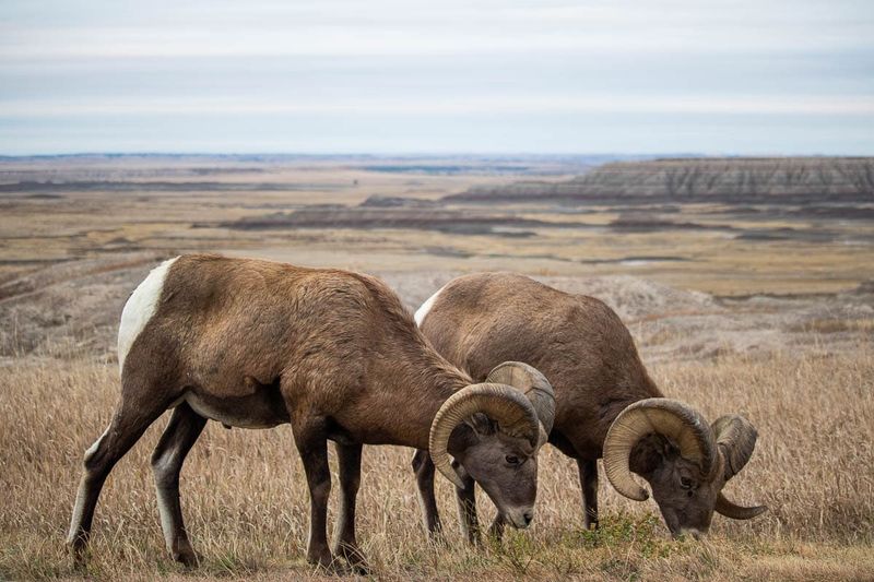 Badlands National Park