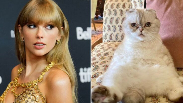 Can Pets Inherit Money? Meet the World’s Richest Animals
