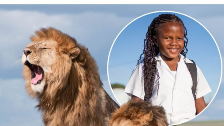 10 Animals That Saved Human Lives in the Most Mysterious Ways