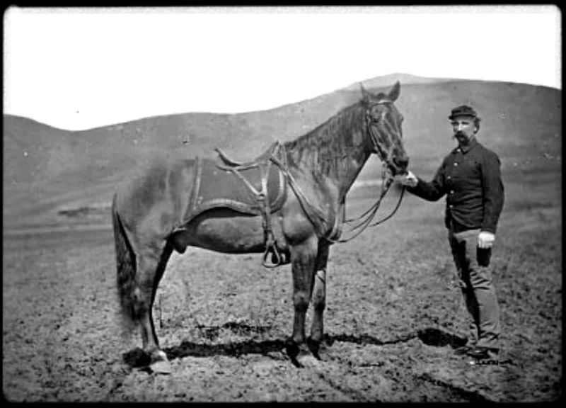 Comanche