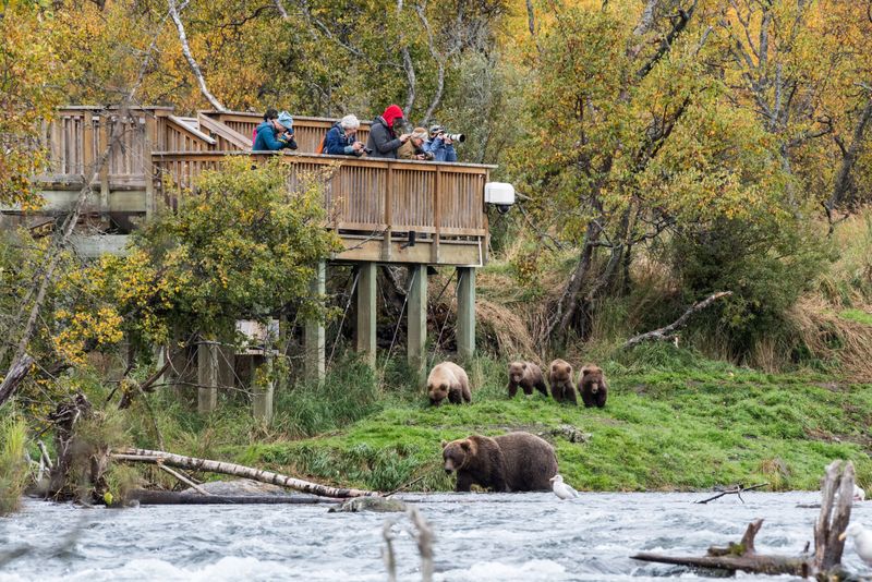 Katmai National Park, Alaska