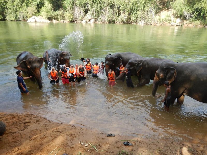 Elephant Nature Park – Chiang Mai, Thailand