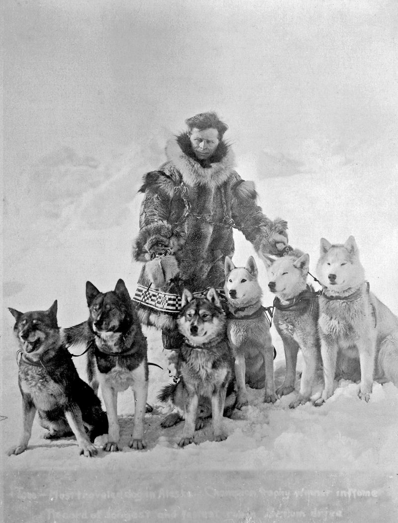 Balto – Sled-dog Hero