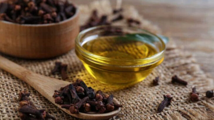 14 Common Scents That Drive Ants Crazy—And Keep Them Out of Your Home