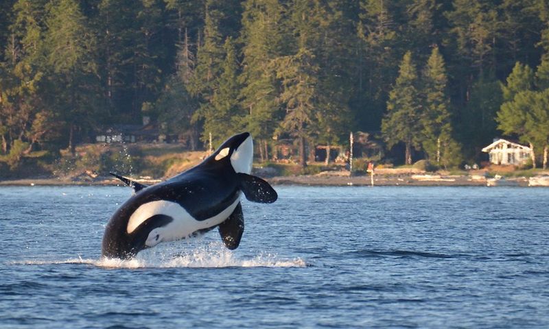 San Juan Islands, Washington