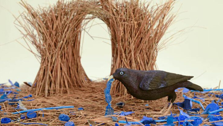 14 Unexpected Animal Architects That Build Mind-Blowing Homes