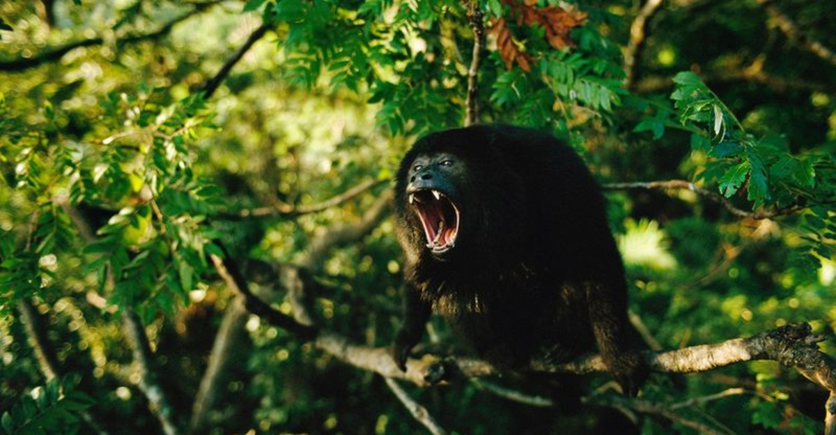 Untamable Animals 15 Jungle Animals That Win Fights Without Lifting a Claw - Exploring ...