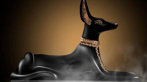 15 Surprising Facts About Dogs in Ancient Egypt That Will Blow Your