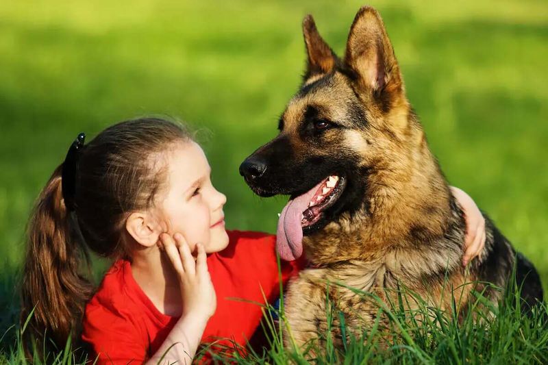 The Loyal Guardian