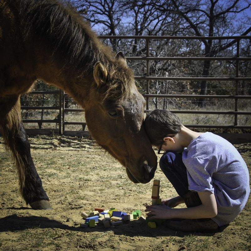 Therapeutic Companions