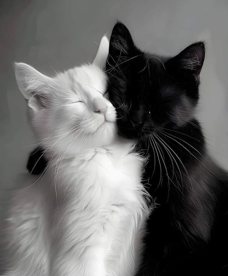 Salt & Pepper