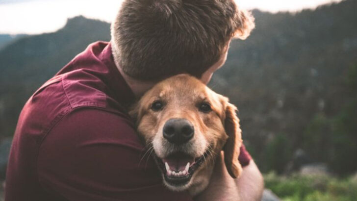 20 Ways Dogs Naturally Help With Anxiety and Depression