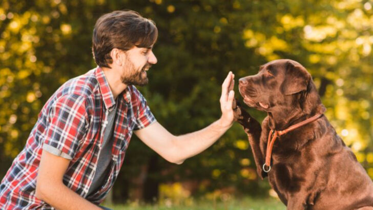 22 Ways to Ensure Your Dog Stays Happy and Healthy