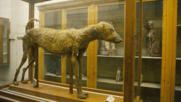 23 Dog Breeds That No Longer Exist (Fascinating Reasons Why)