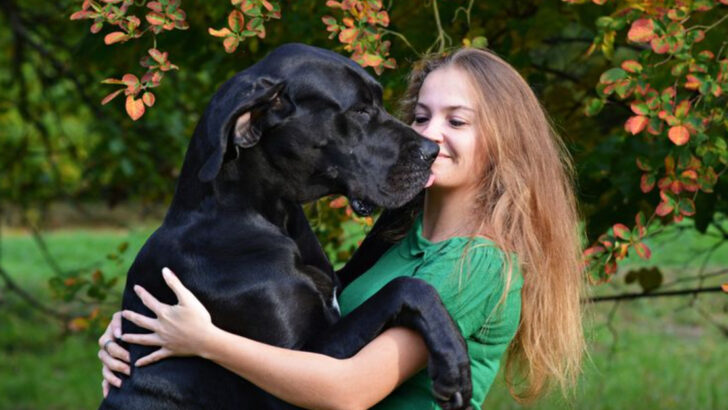 25 Dog Breeds So Cool They’ll Steal Your Heart Instantly—And What Makes Each One Special