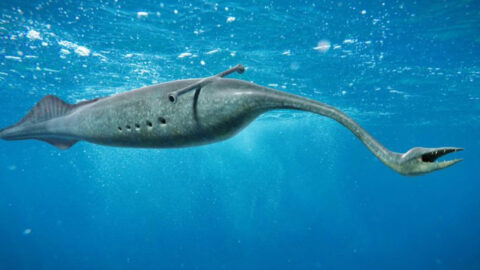 26 Prehistoric Animals Even More Terrifying Than Dinosaurs - Exploring