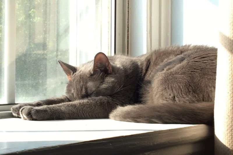 Lethargy and Loss of Interest
