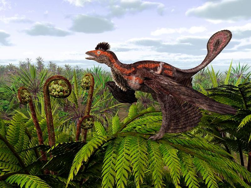 Microraptor