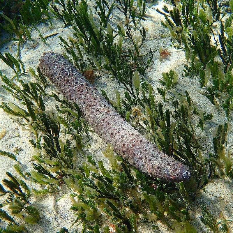 Ecological Importance: More Than Meets the Eye